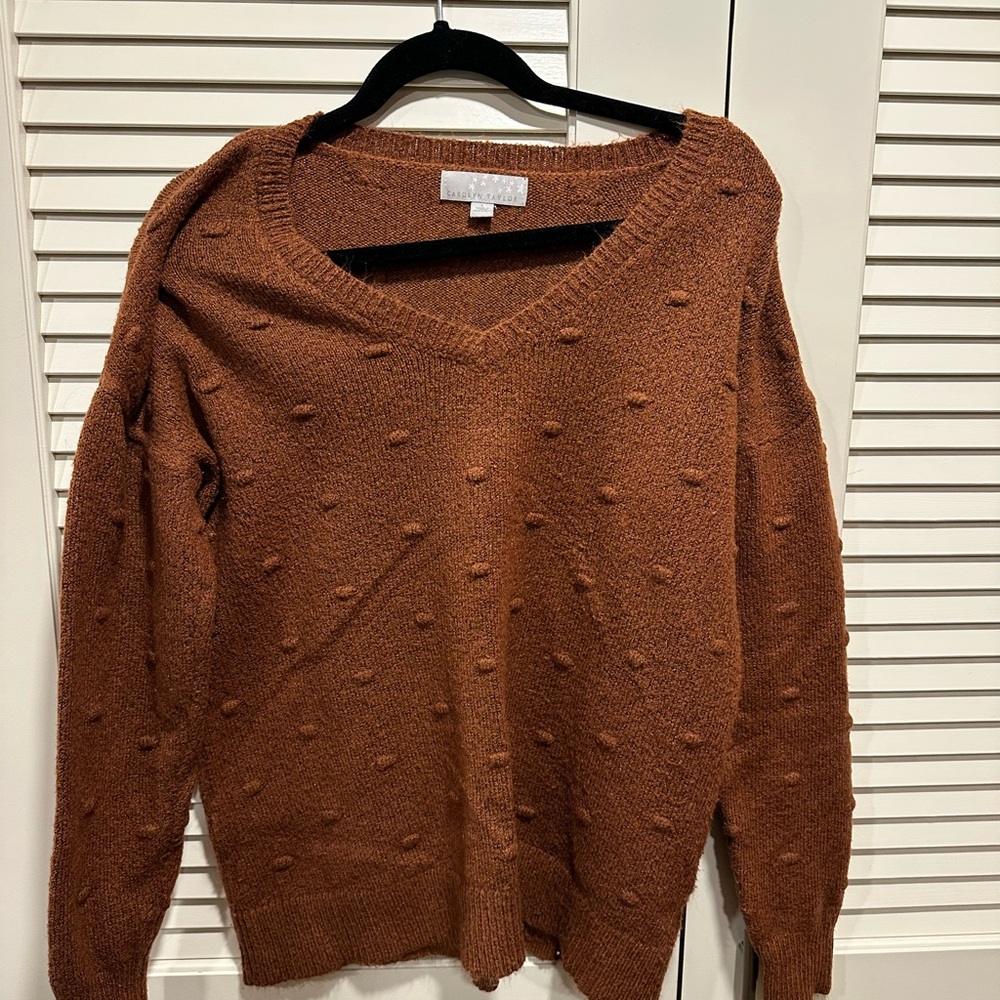 Carolyn Taylor Textured Brown V-Neck Sweater
